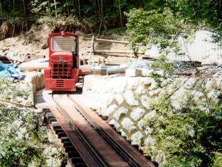 matsumoto d